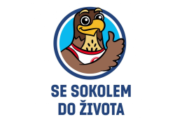 Školní projekty: "Se sokolem do života“ – celoroční projekt pohybové gramotnosti
